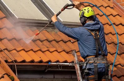 Démoussage et hydrofuge de toiture à Carbonne
